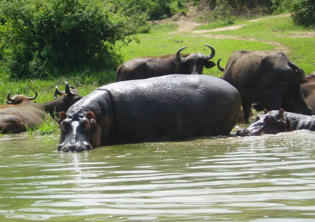 Reseprofylax inför resa – malaria, turistdiarré, sjösjuka och höjdsjuka